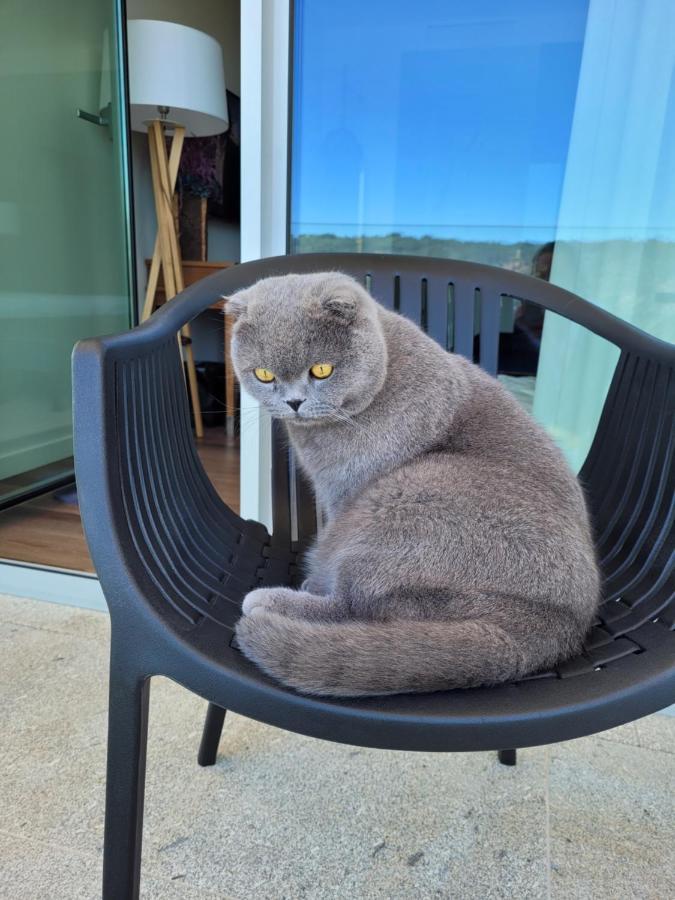 Hotel Cotto Do Gatto Ponte da Barca Dış mekan fotoğraf