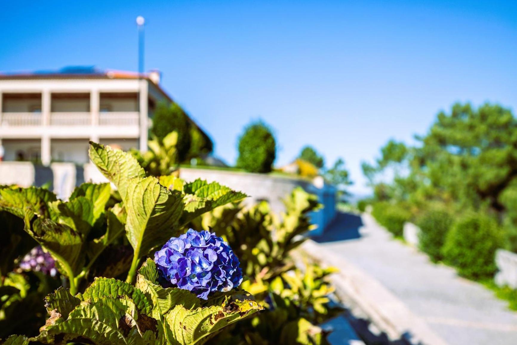 Hotel Cotto Do Gatto Ponte da Barca Dış mekan fotoğraf